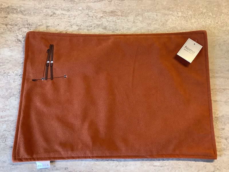 Brikke ski rust