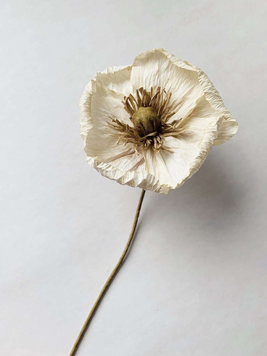 Papirblomst Valmue creme