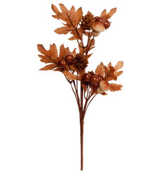 Hovedbilde Kvist brune blader og brune sopper.