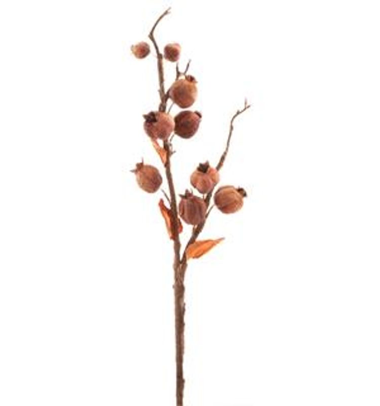 Kvist med løkblomster